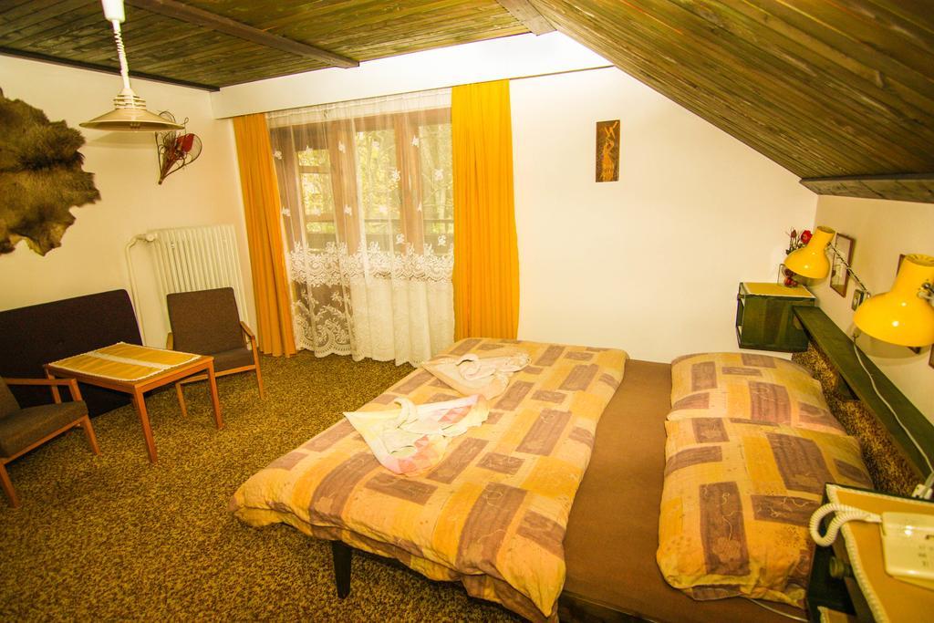 Privat - Harrachov 392 Hotell Rum bild