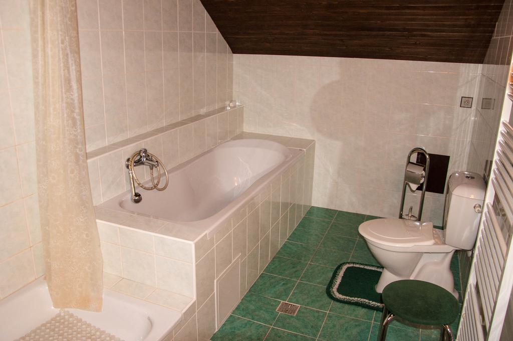 Privat - Harrachov 392 Hotell Rum bild