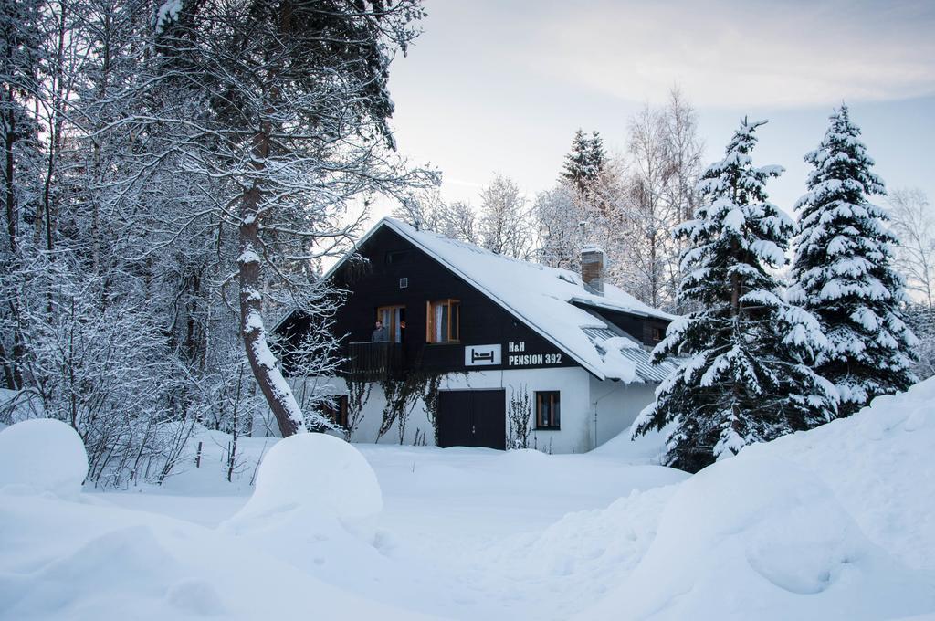 Privat - Harrachov 392 Hotell Exteriör bild